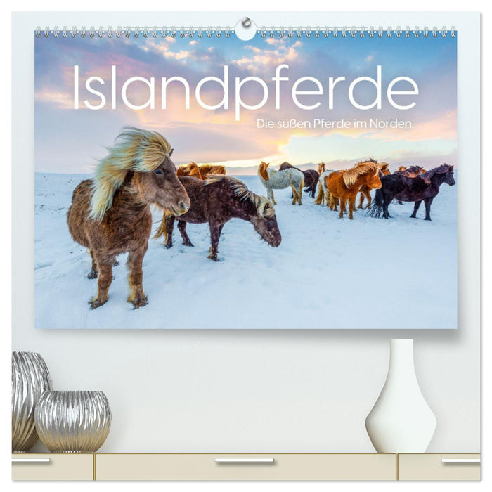 Islandpferde - Die süßen Pferde im Norden. (CALVENDO Premium Wandkalender 2025)