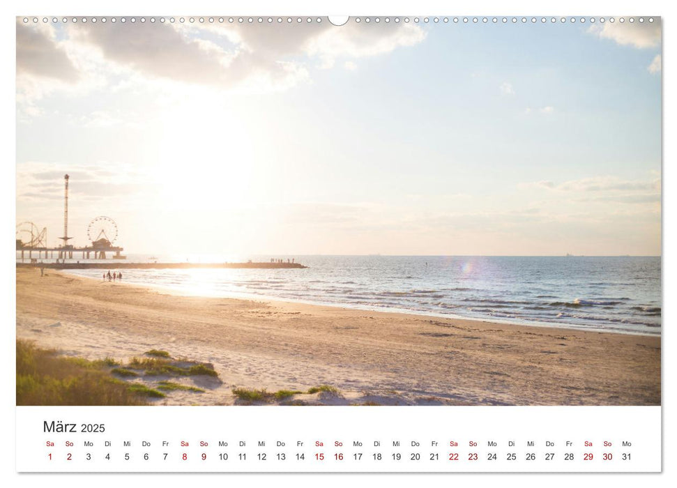 Texas - The Lone Star State (CALVENDO Premium Wandkalender 2025)