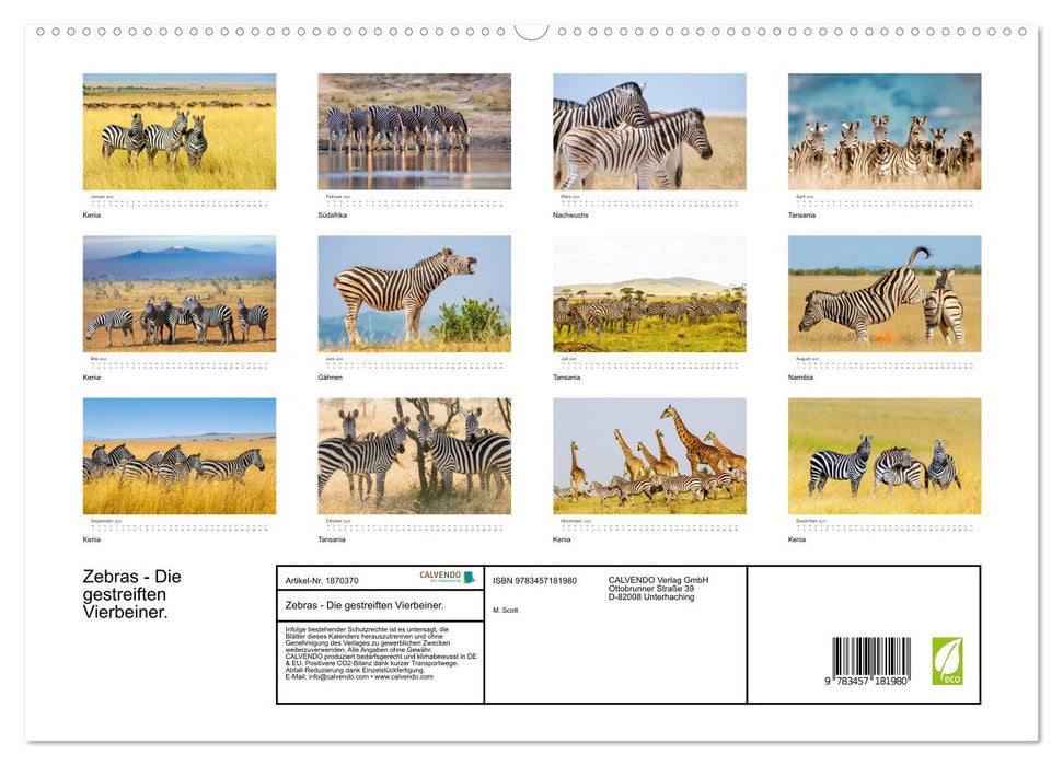 Zebras - Die gestreiften Vierbeiner. (CALVENDO Premium Wandkalender 2025)