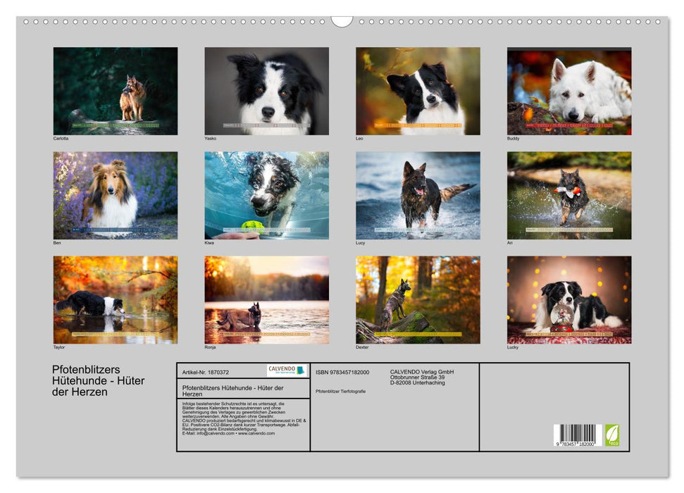 Pfotenblitzers Hütehunde - Hüter der Herzen (CALVENDO Wandkalender 2025)