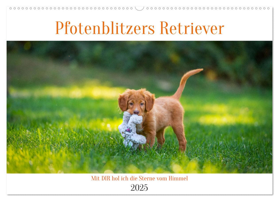 Pfotenblitzers Retriever Mit DIR hol ich die Sterne vom Himmel (CALVENDO Wandkalender 2025)