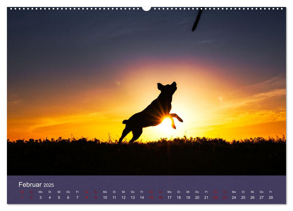 Pfotenblitzers Retriever Mit DIR hol ich die Sterne vom Himmel (CALVENDO Wandkalender 2025)