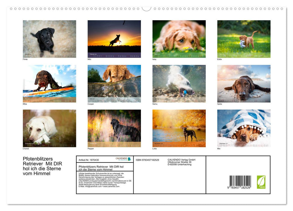 Pfotenblitzers Retriever Mit DIR hol ich die Sterne vom Himmel (CALVENDO Premium Wandkalender 2025)