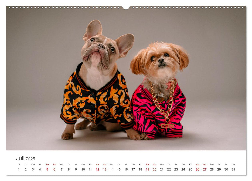 Die Bulldogge Henry (CALVENDO Premium Wandkalender 2025)