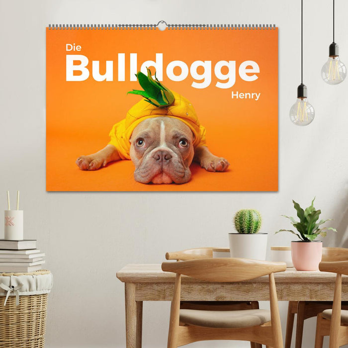 Die Bulldogge Henry (CALVENDO Wandkalender 2025)