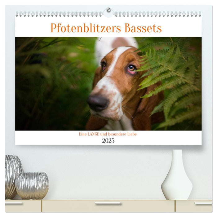 Der Basset, eine LANGE und besondere Liebe (CALVENDO Premium Wandkalender 2025)