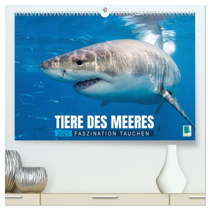 Tiere des Meeres: Faszination Tauchen (CALVENDO Premium Wandkalender 2025)