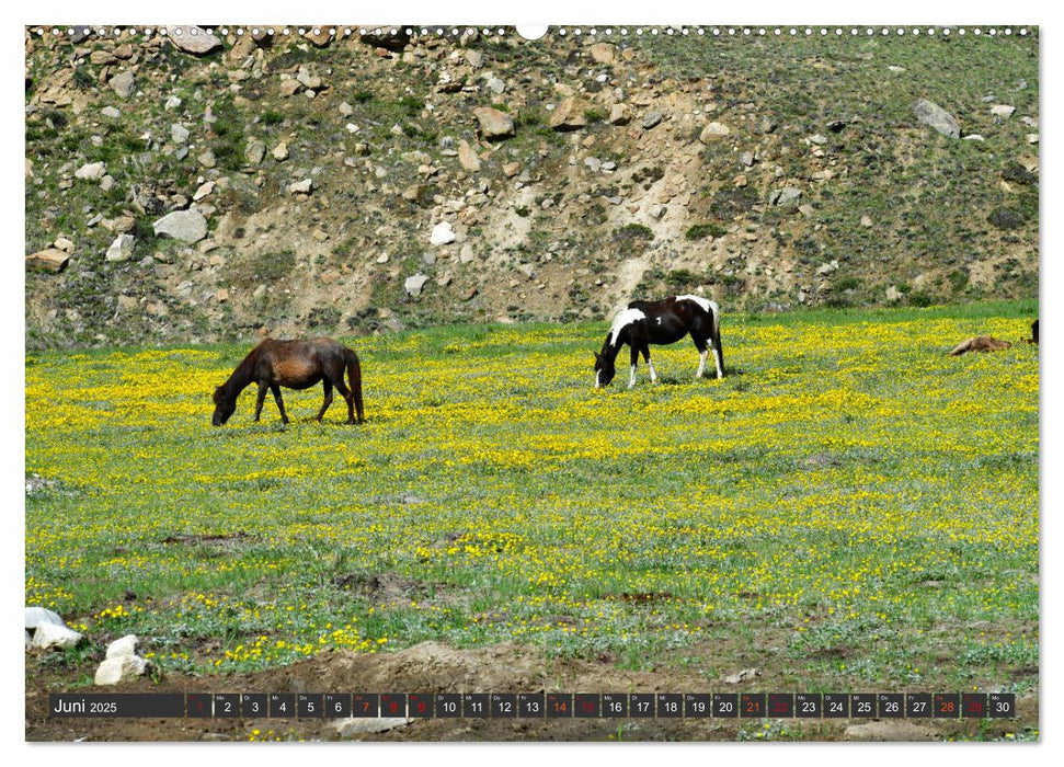 Ladakh - Zanskar (CALVENDO Wandkalender 2025)