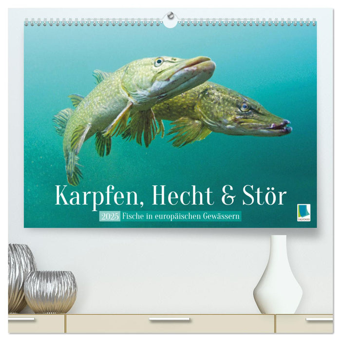 Karpfen, Hecht und Stör: Fische in europäischen Gewässern (CALVENDO Premium Wandkalender 2025)