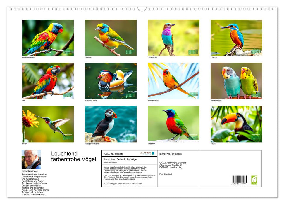 Leuchtend farbenfrohe Vögel (CALVENDO Wandkalender 2025)