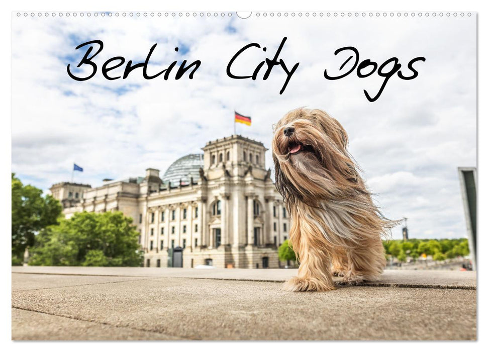 Berlin City Dogs (CALVENDO Wandkalender 2025)