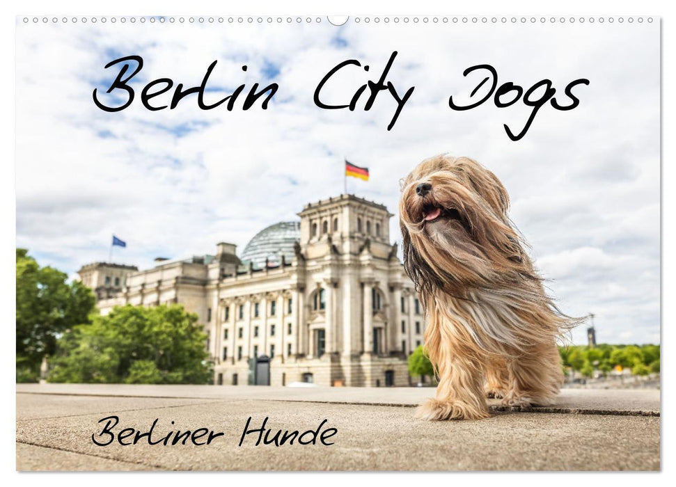 Berlin City Dogs - Berliner Hunde (CALVENDO Wandkalender 2025)