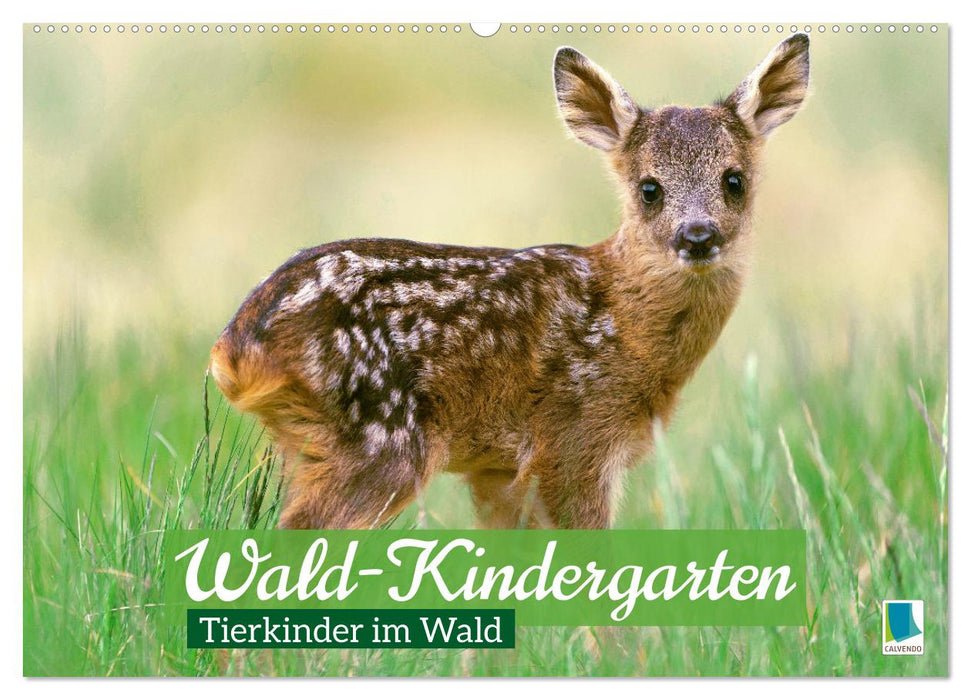 Wald-Kindergarten: Tierkinder im Wald (CALVENDO Wandkalender 2025)