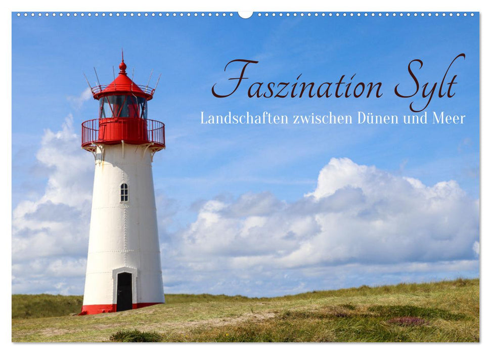 Faszination Sylt (CALVENDO Wandkalender 2025)