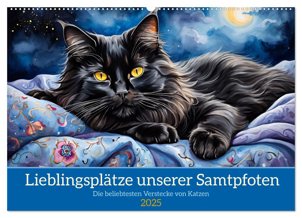 Lieblingsplätze unserer Samtpfoten (CALVENDO Wandkalender 2025)