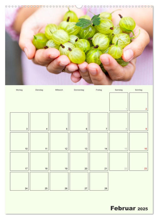 Obst Kalender - GESUND DURCH DAS JAHR (CALVENDO Wandkalender 2025)