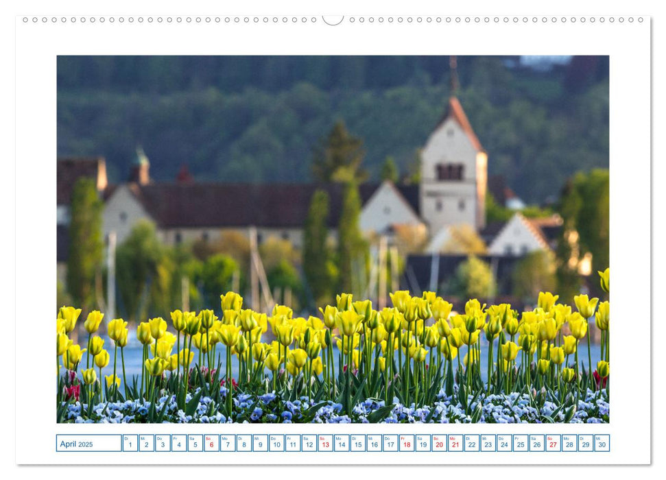 Allensbach am Bodensee (CALVENDO Premium Wandkalender 2025)