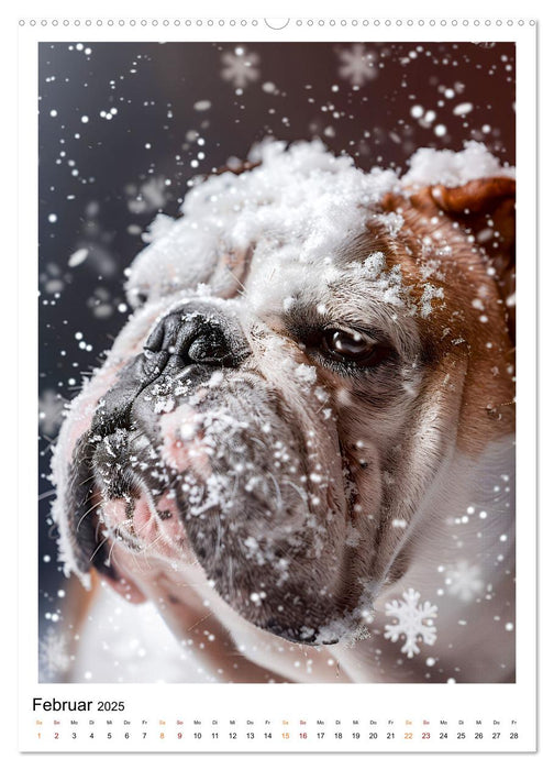 Hunde Lieblinge (CALVENDO Premium Wandkalender 2025)