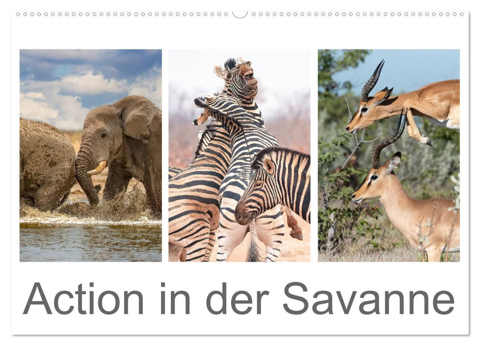 Action in der Savanne (CALVENDO Wandkalender 2025)