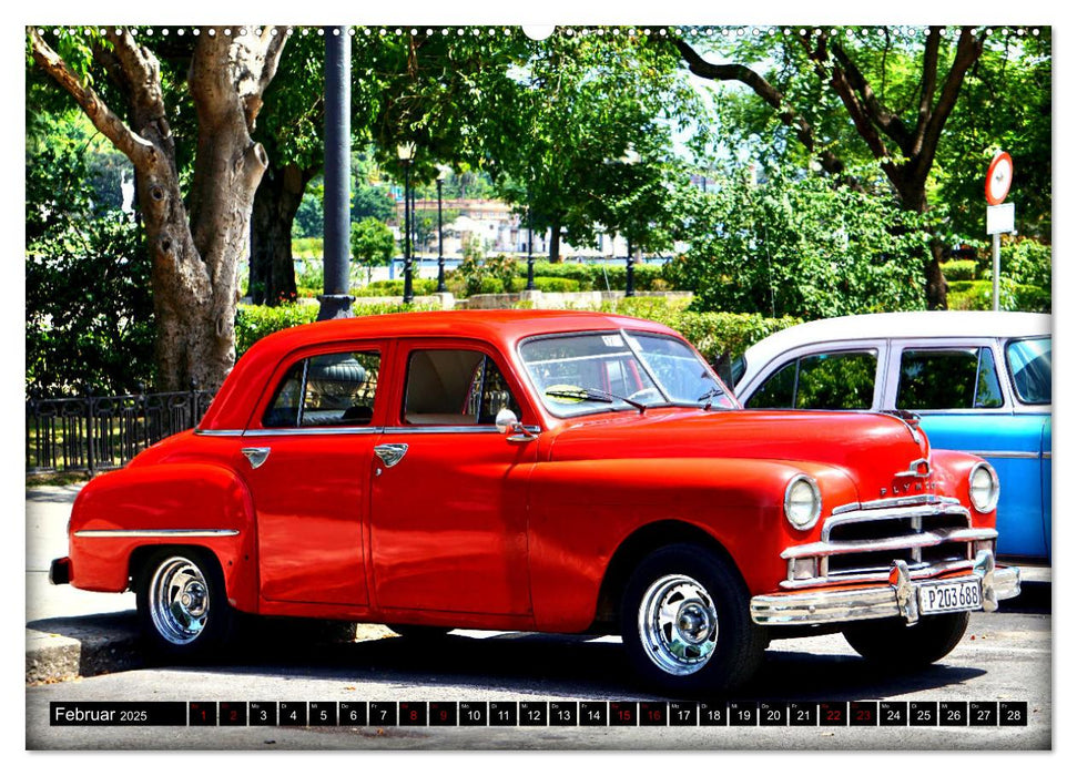 PLYMOUTH '50 - Ein US-Oldtimer in Havanna (CALVENDO Wandkalender 2025)