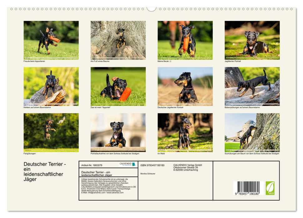 Deutscher Terrier - ein leidenschaftlicher Jäger (CALVENDO Premium Wandkalender 2025)