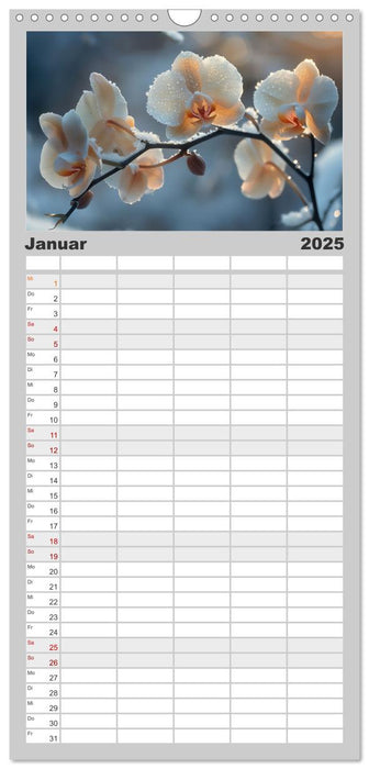 Orchideen - farbenfroh durchs Jahr (CALVENDO Familienplaner 2025)