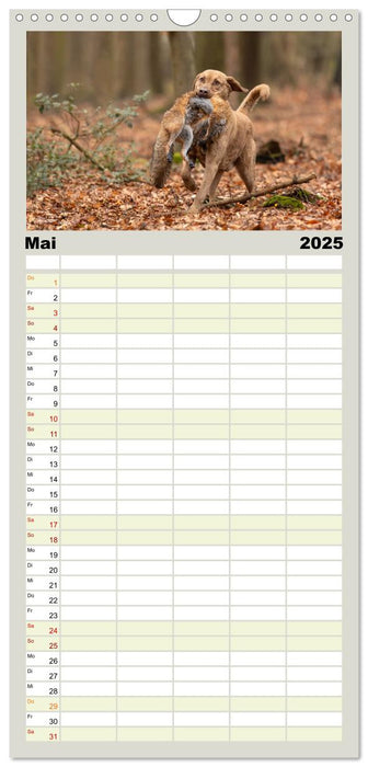 Treue Jagdgefährten - Jagdhunderassen im Portrait (CALVENDO Familienplaner 2025)