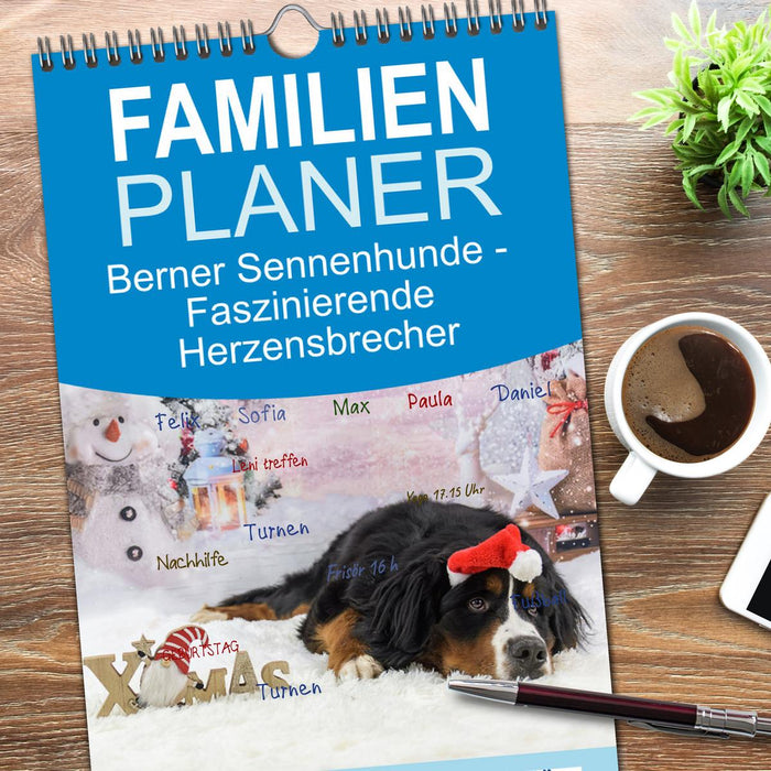 Berner Sennenhunde - Faszinierende Herzensbrecher (CALVENDO Familienplaner 2025)