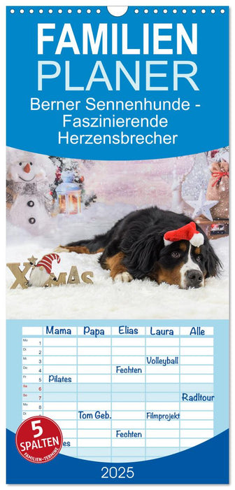 Berner Sennenhunde - Faszinierende Herzensbrecher (CALVENDO Familienplaner 2025)