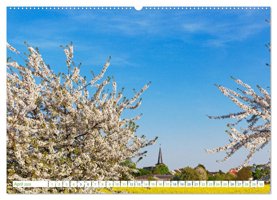 Köln Widdersdorf - Blütenträume und ländliche Idylle (CALVENDO Wandkalender 2025)