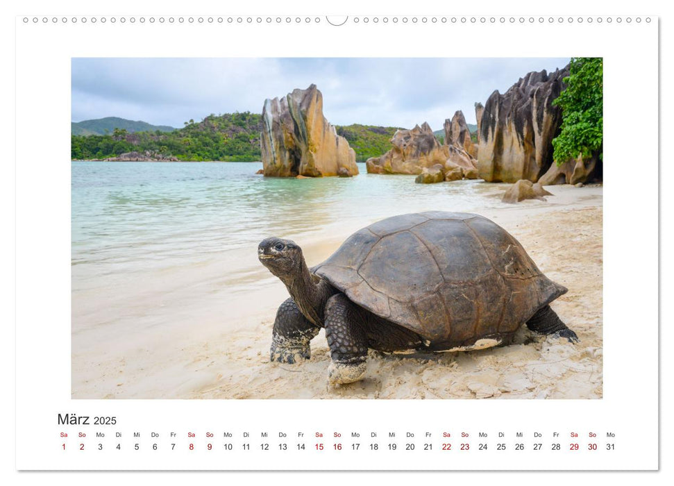 Seychellen - unterwegs mit Julia Hahn (CALVENDO Premium Wandkalender 2025)