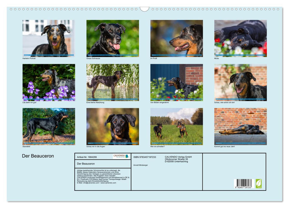 Der Beauceron (CALVENDO Wandkalender 2025)