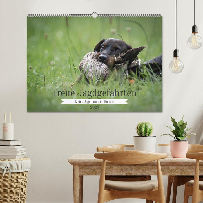 Treue Jagdgefährten - Kleine Jagdhunde im Einsatz (CALVENDO Wandkalender 2025)