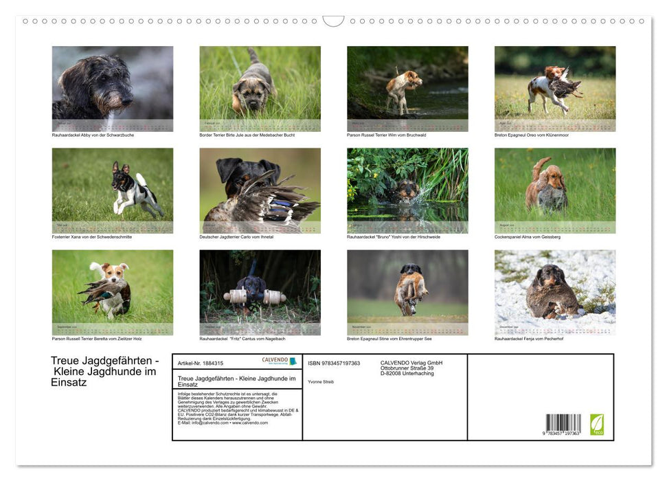 Treue Jagdgefährten - Kleine Jagdhunde im Einsatz (CALVENDO Wandkalender 2025)