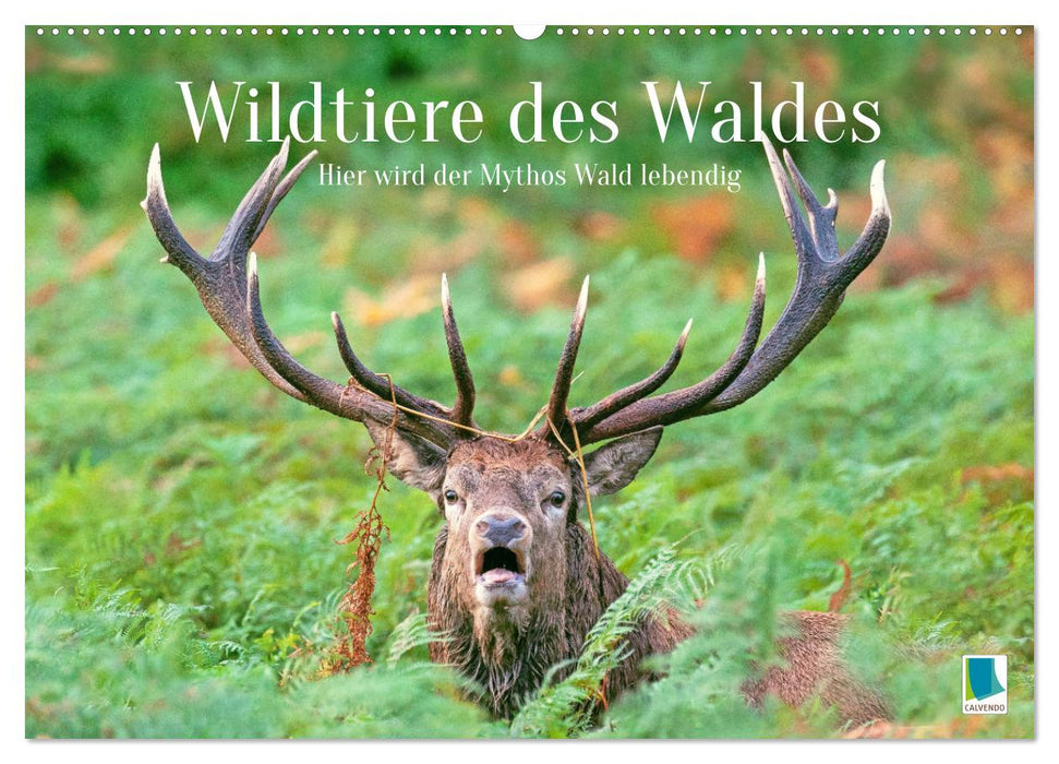 Wildtiere des Waldes: Hier wird der Mythos Wald lebendig (CALVENDO Wandkalender 2025)