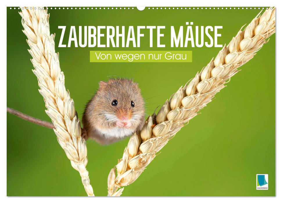 Zauberhafte Mäuse: Von wegen nur Grau (CALVENDO Wandkalender 2025)