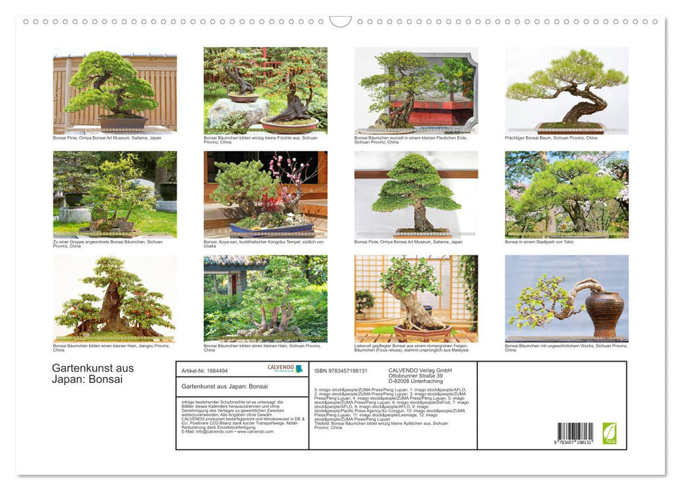 Gartenkunst aus Japan: Bonsai (CALVENDO Wandkalender 2025)