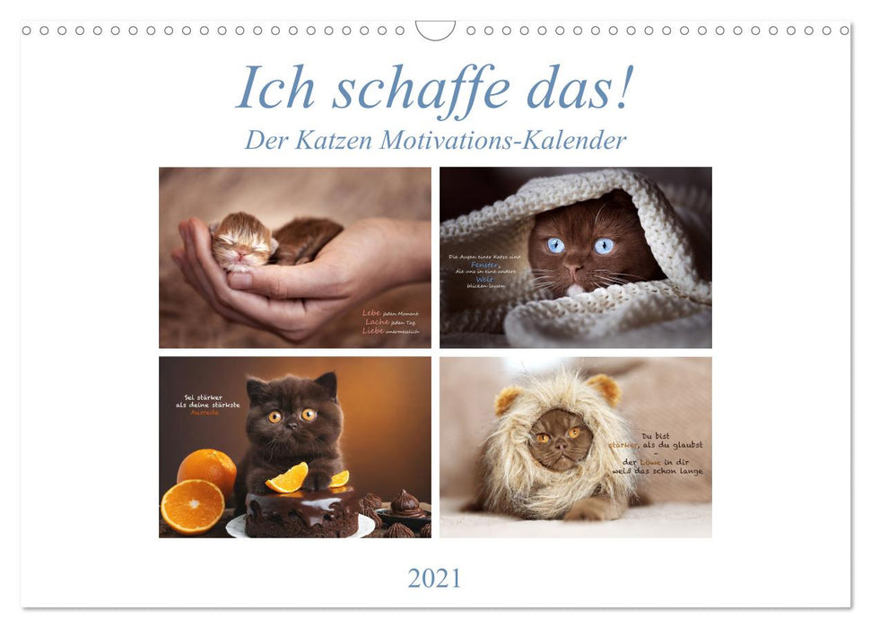 Ich schaffe das! Der Katzen Motivations Kalender (CALVENDO Wandkalender 2021)