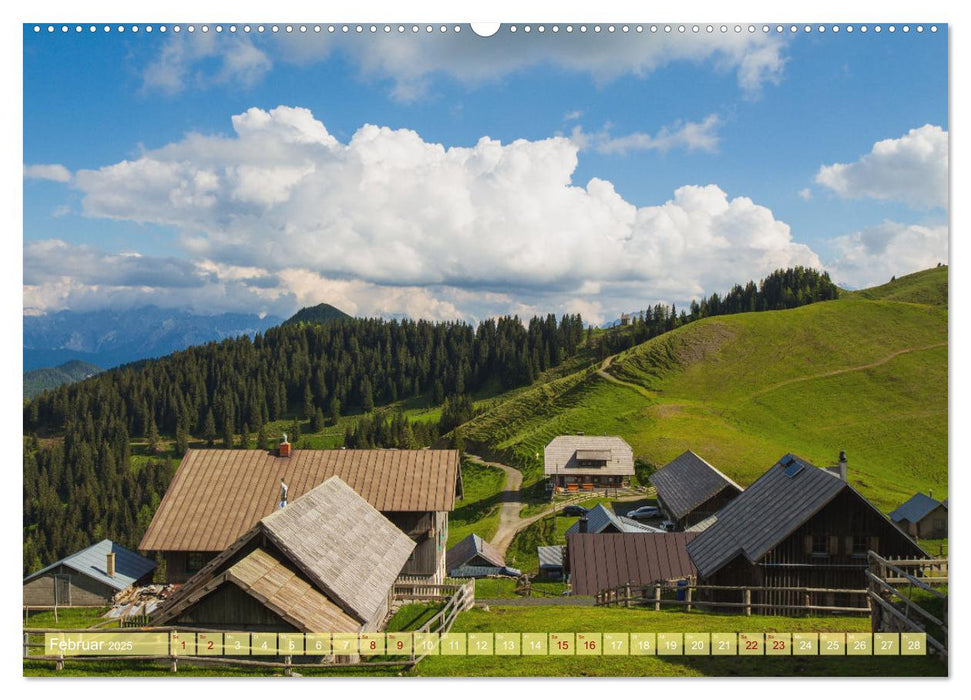 Die Feistritzer Alm - Wandern in den Kärntner Bergen (CALVENDO Wandkalender 2025)