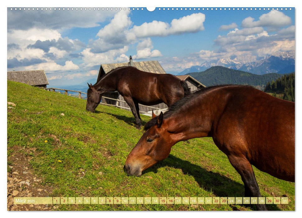 Die Feistritzer Alm - Wandern in den Kärntner Bergen (CALVENDO Wandkalender 2025)