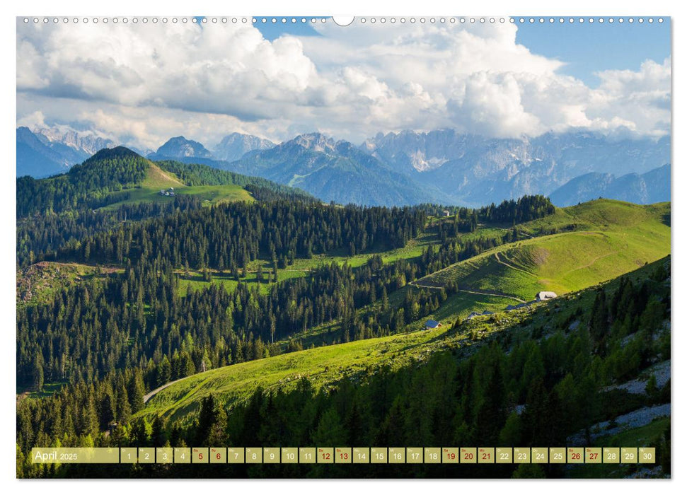 Die Feistritzer Alm - Wandern in den Kärntner Bergen (CALVENDO Wandkalender 2025)