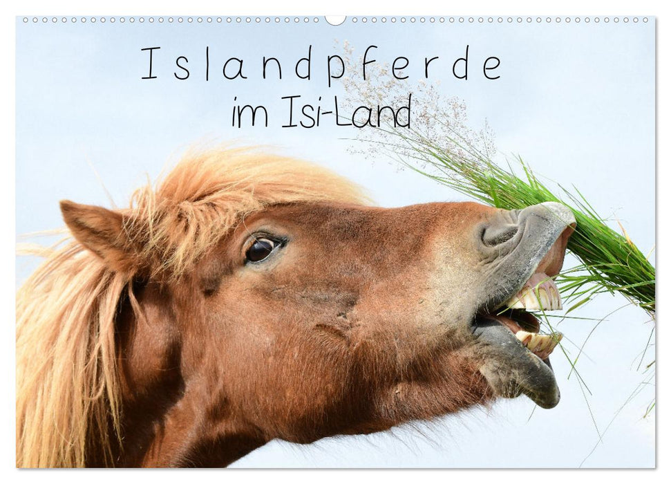 Islandpferde im Isi-Land (CALVENDO Wandkalender 2025)