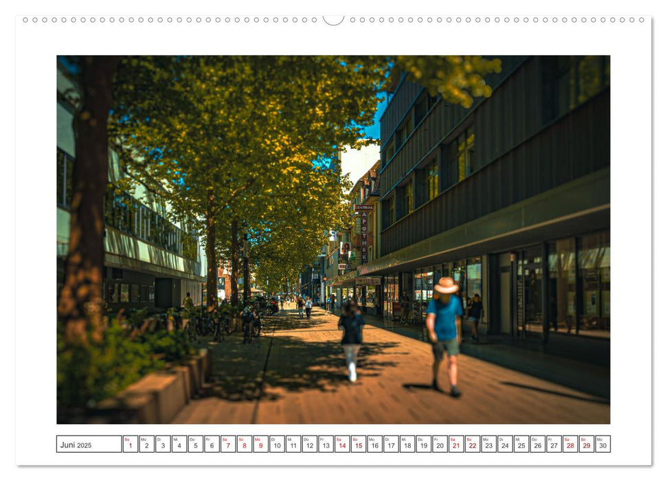 Singen zwischen Natur und Industrie (CALVENDO Premium Wandkalender 2025)