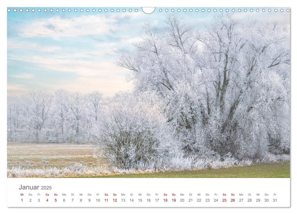 Spreewald - Ein Naturparadies (CALVENDO Wandkalender 2025)