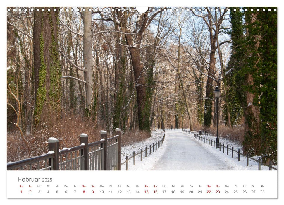 Spreewald - Ein Naturparadies (CALVENDO Wandkalender 2025)