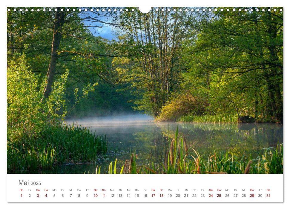 Spreewald - Ein Naturparadies (CALVENDO Wandkalender 2025)