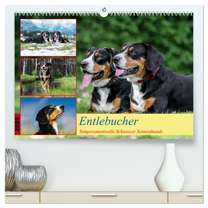 Entlebucher - Temperamentvolle Schweizer Sennenhunde (CALVENDO Premium Wandkalender 2025)