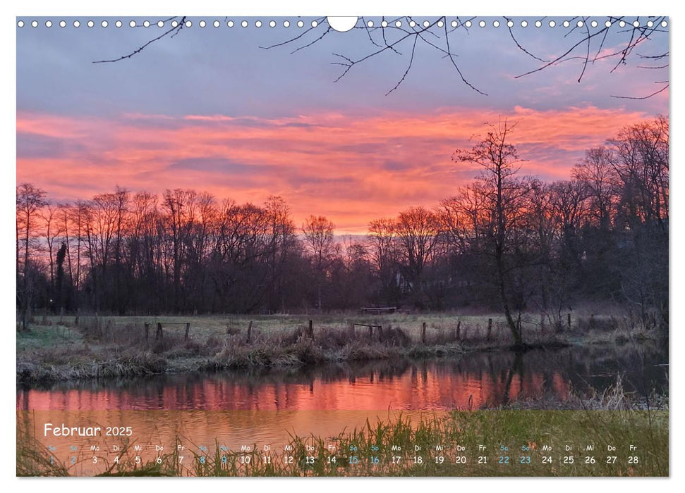 Moorträume - Naturschönheit in Bildern (CALVENDO Wandkalender 2025)