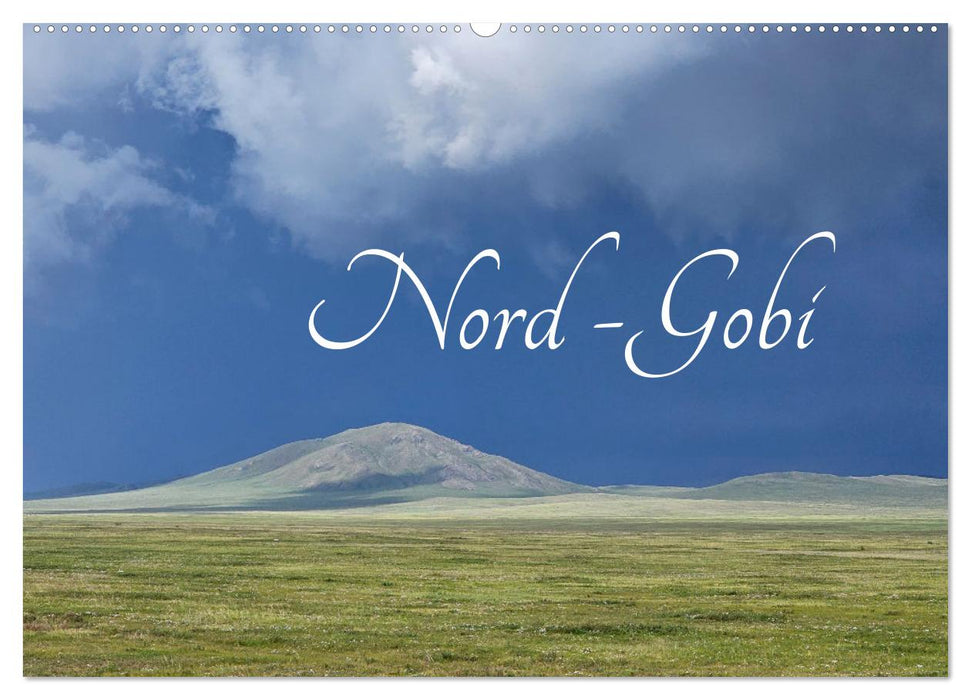 Nord-Gobi (CALVENDO Wandkalender 2025)