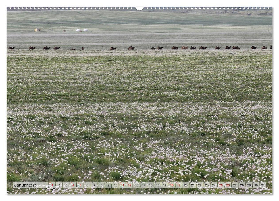 Nord-Gobi (CALVENDO Wandkalender 2025)